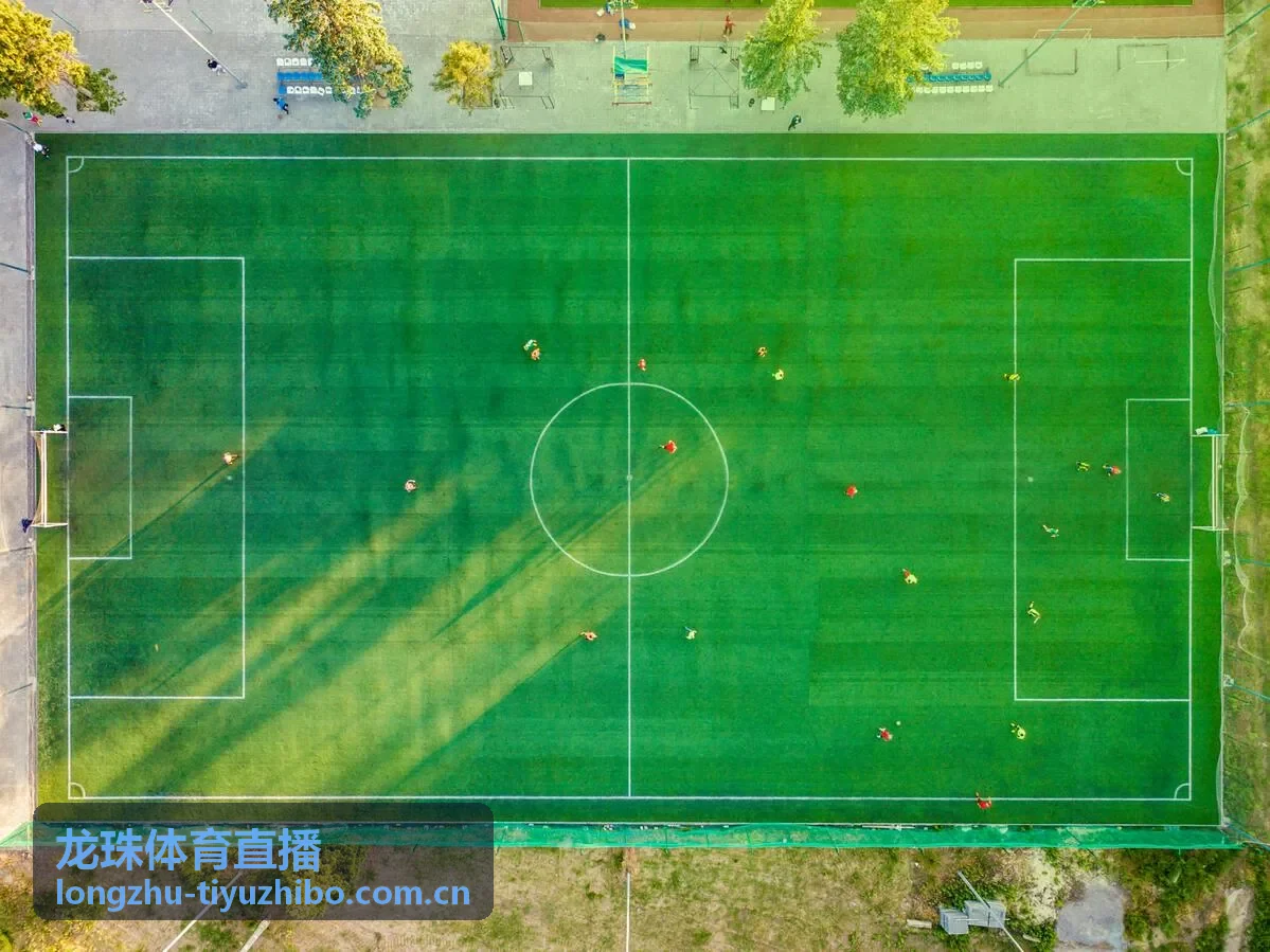 龙珠体育直播篮球比赛直播画面